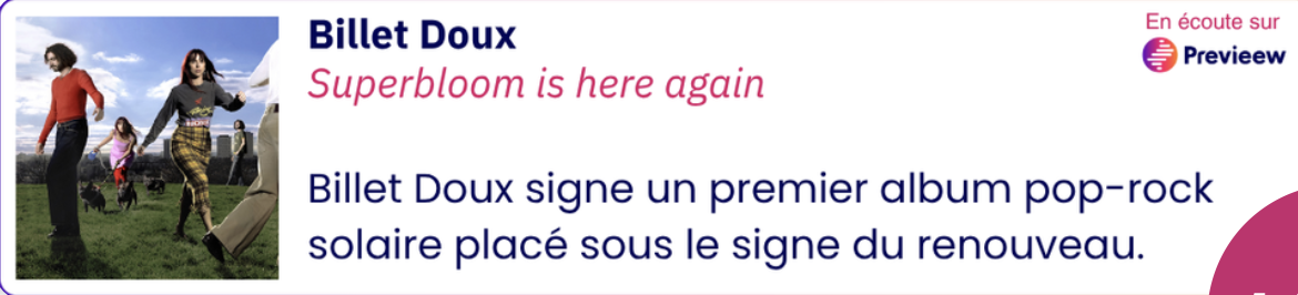 Aperçu du bandeau newsletter